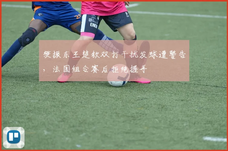 樊振东王楚钦双打干扰发球遭警告，法国组合赛后拒绝握手